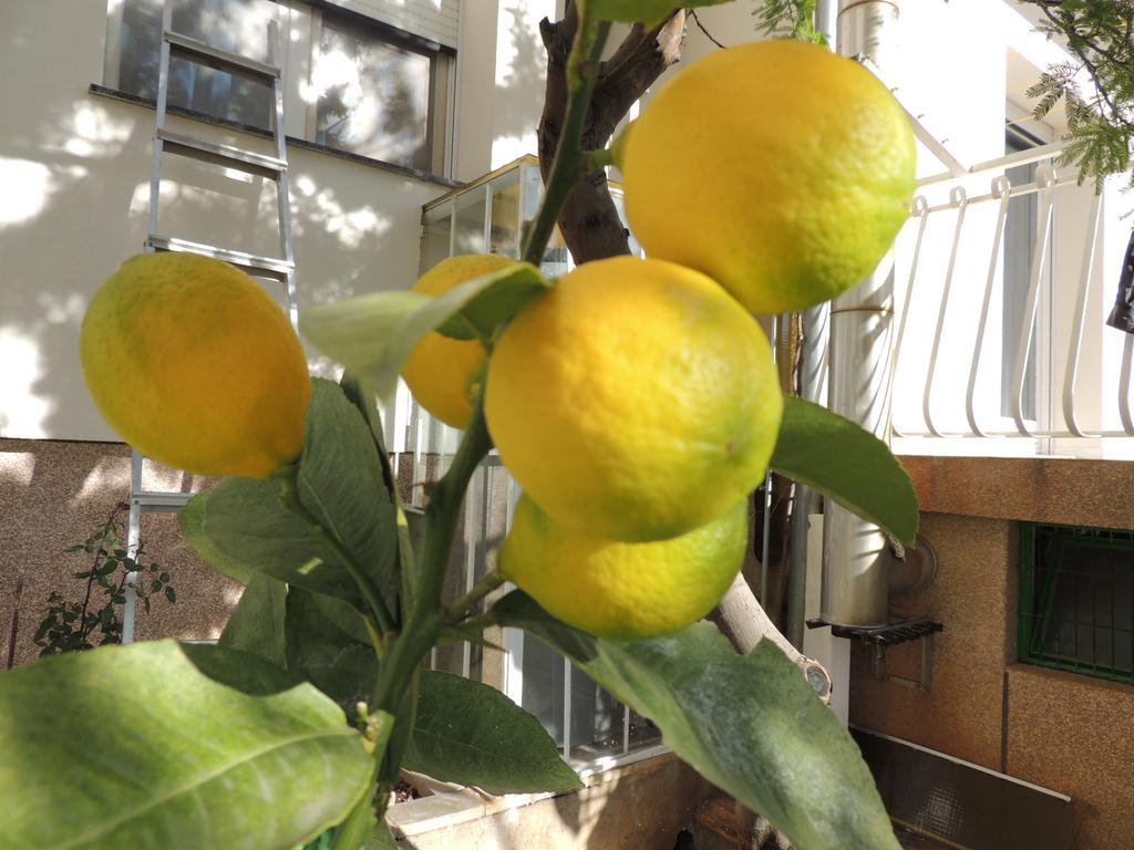 Apartment Ordan 503 ブロダリツァ エクステリア 写真