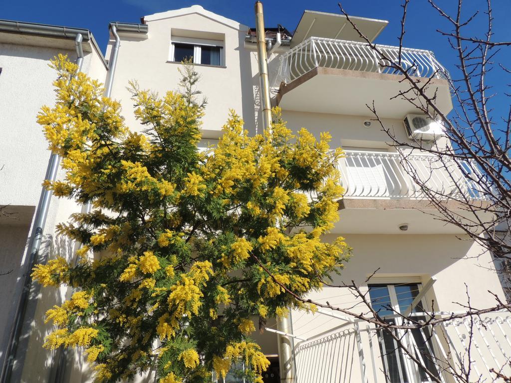 Apartment Ordan 503 ブロダリツァ エクステリア 写真